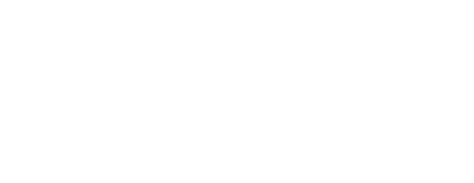 SRT Property